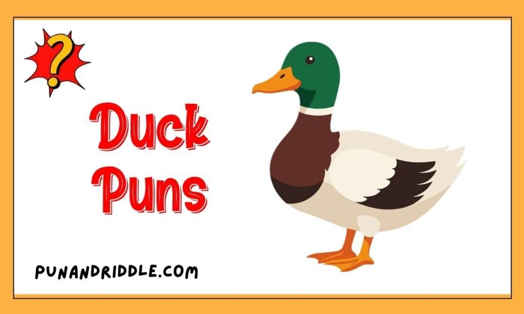 299+ Funny Duck Puns to Quack a Smile