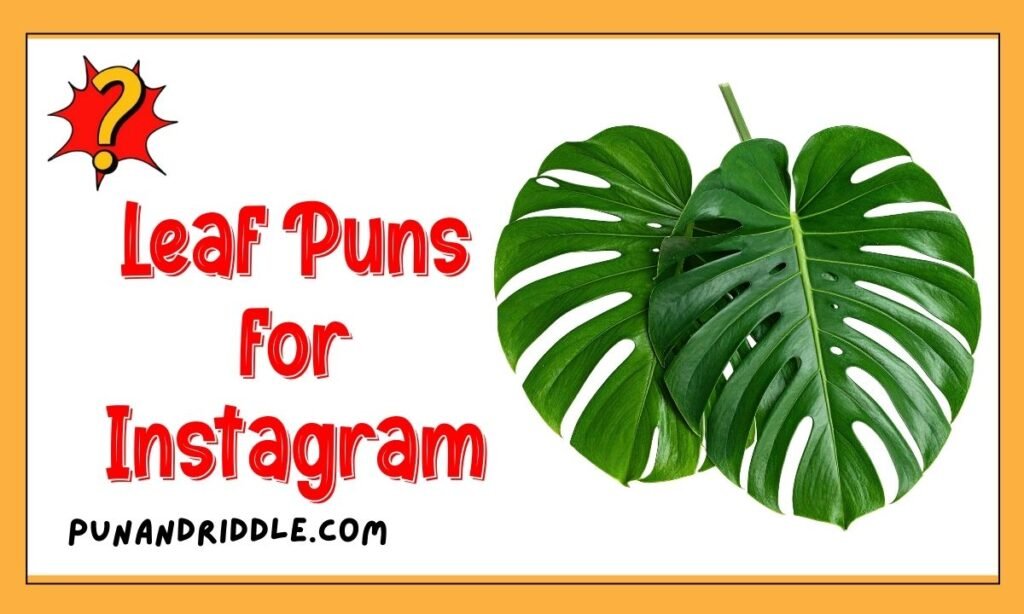 Leaf Puns for Instagram