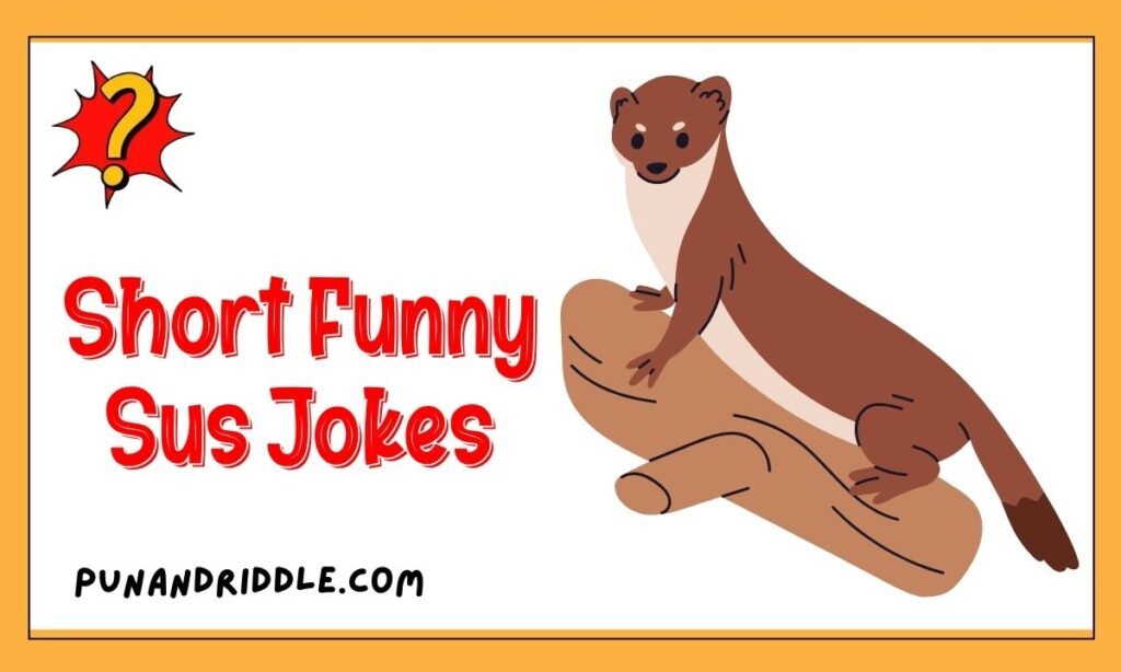 Short Funny Sus Jokes