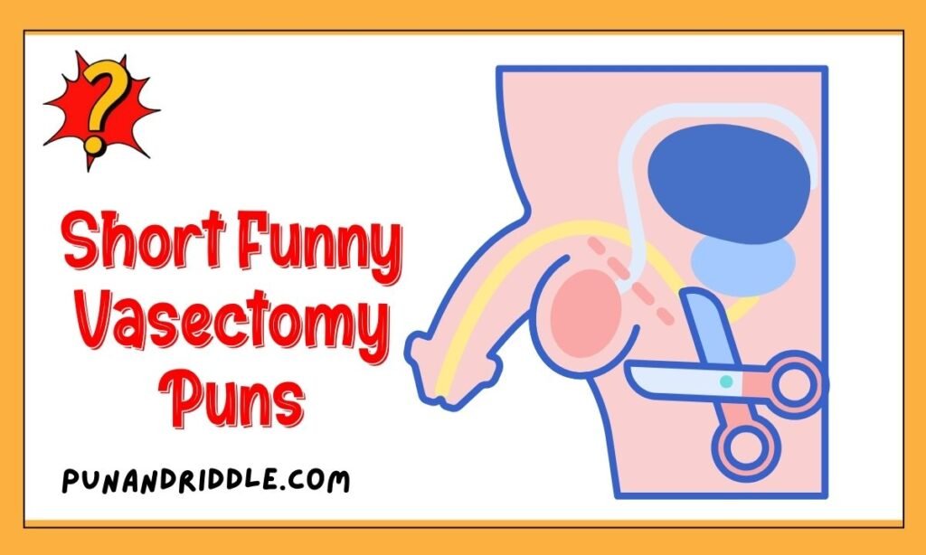 Short Funny Vasectomy Puns