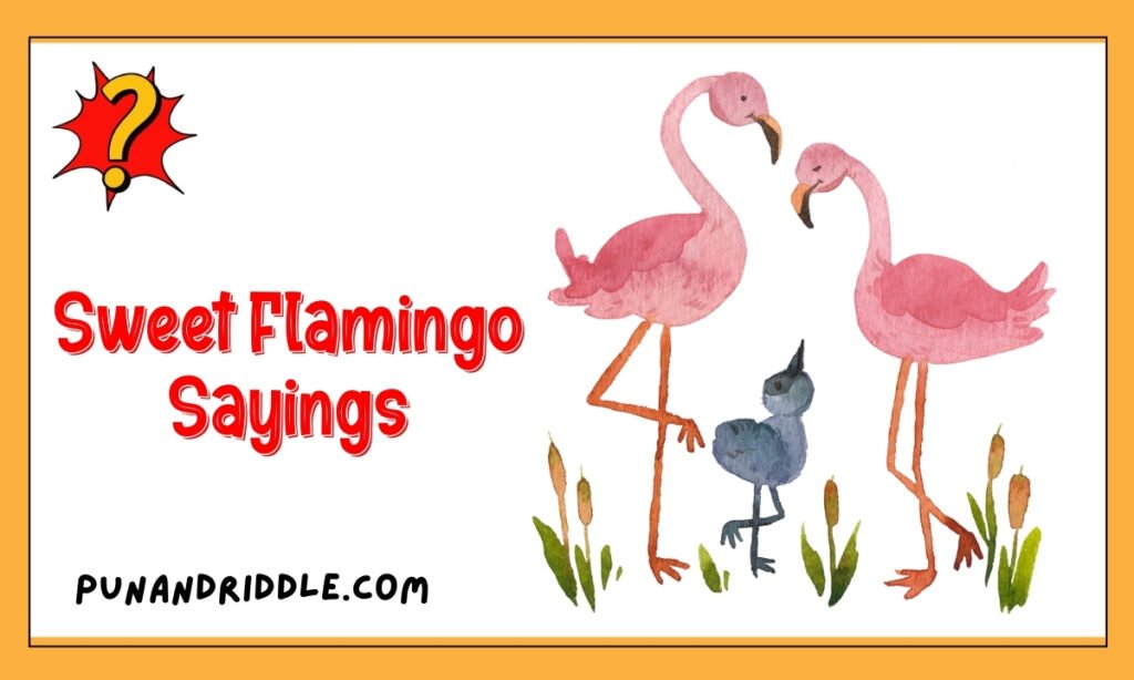Sweet Flamingo Sayings