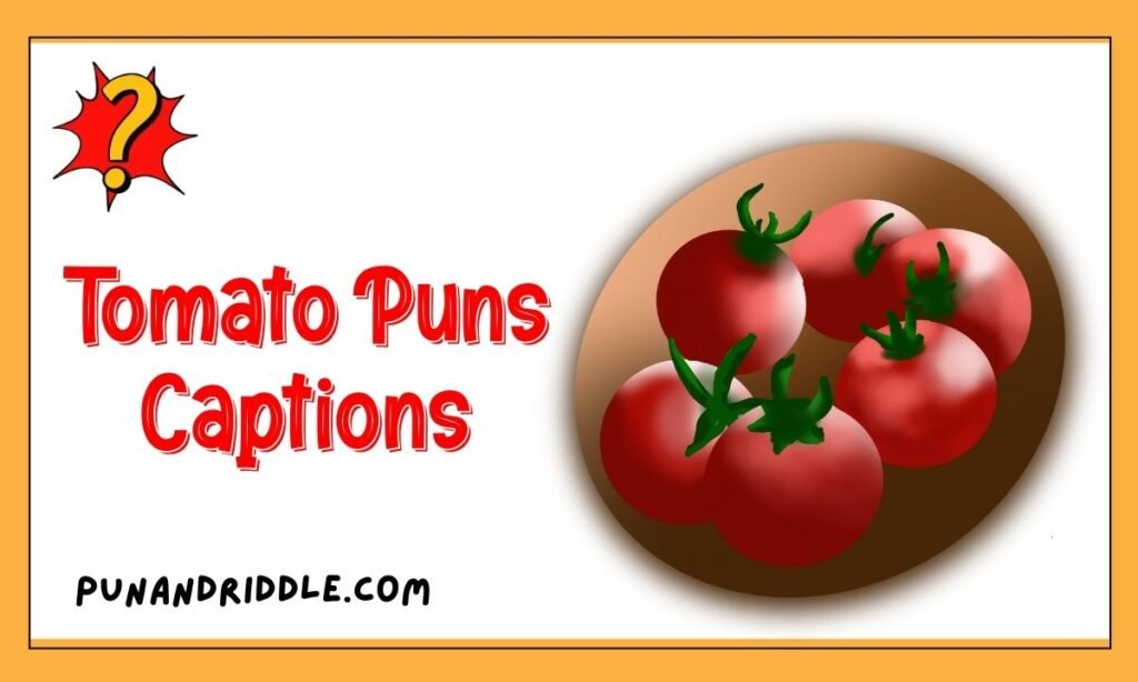 Tomato Puns Captions