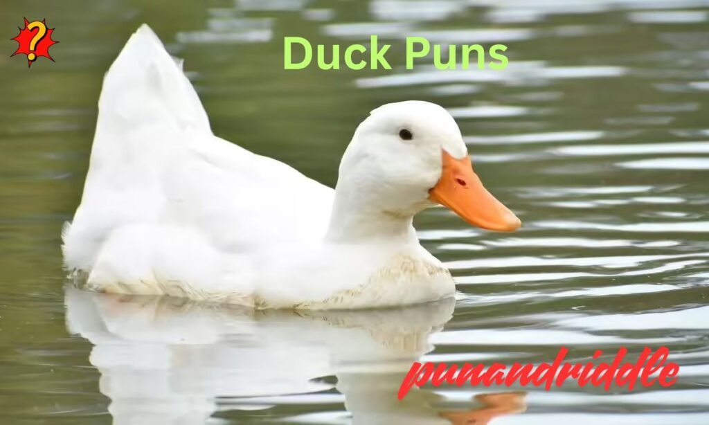 270+ Duck Puns and Jokes for Kids