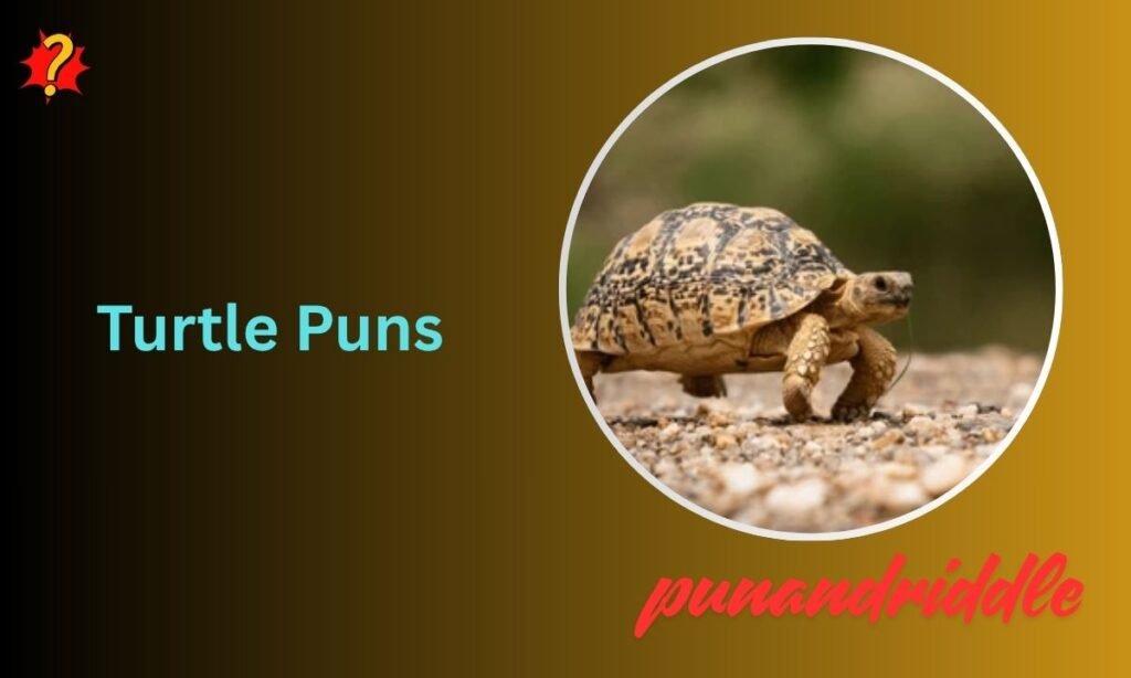 270+ Turtle Puns That Are Shell-Tastic: Cute, Funny & Shareable