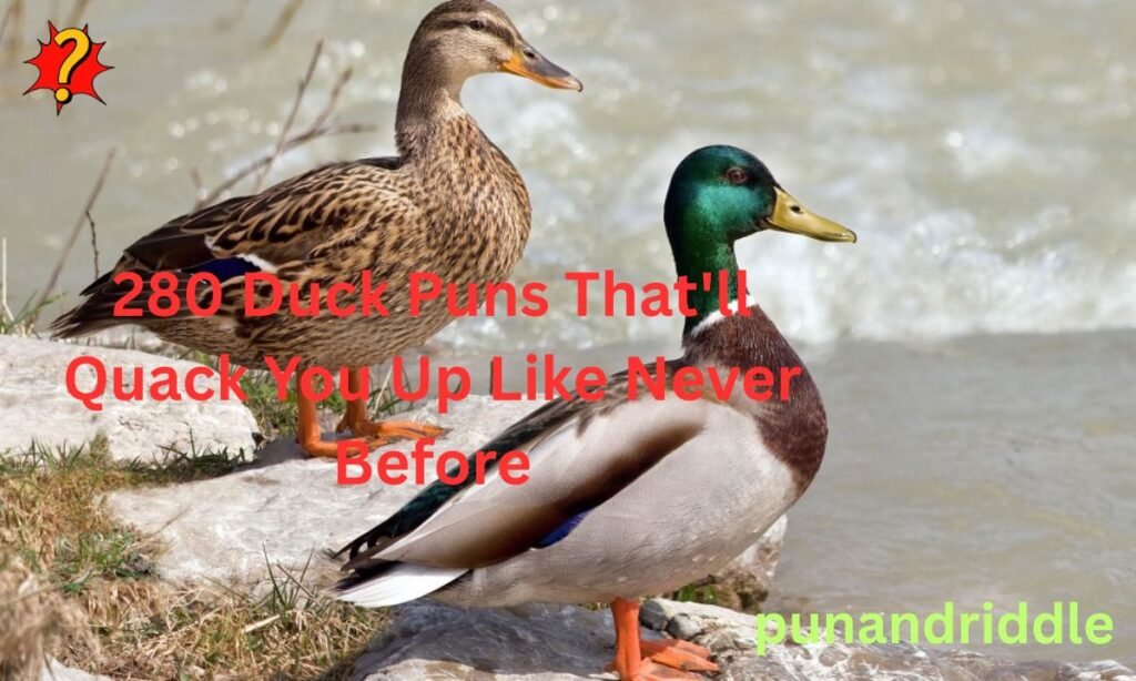 280 Duck Puns That’ll Quack You Up Like Never Before