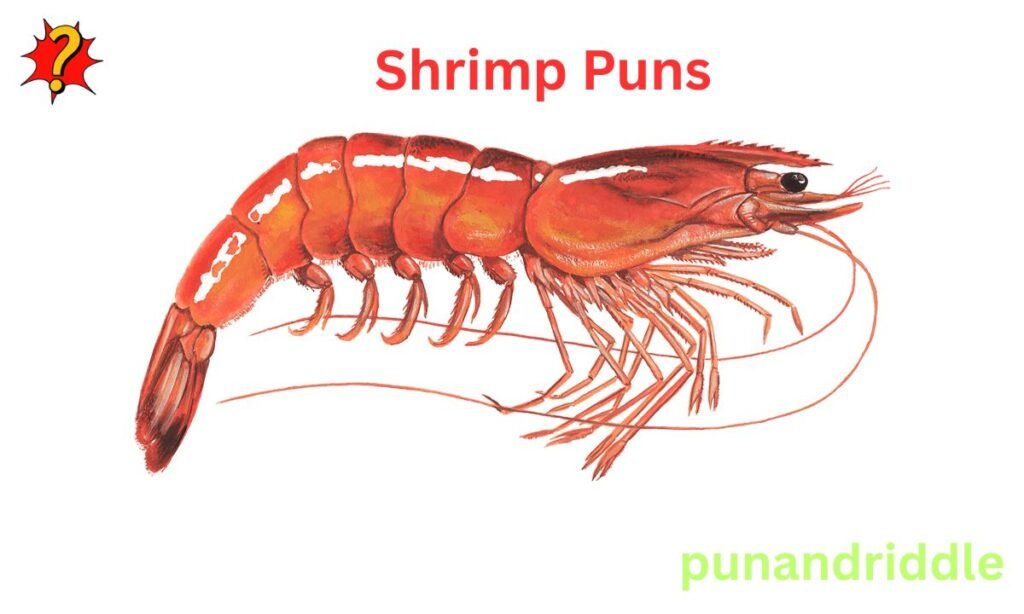 300+ Shrimp Puns & Jokes: Funny One-Liners for Instagram Captions
