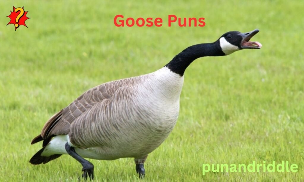 340+ Goose Puns & Jokes: Hilarious One-Liners, Names, Food & Birthday Giggles
