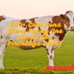 400+ Cow Puns Short Funny One Liners for Birthdays 2026!