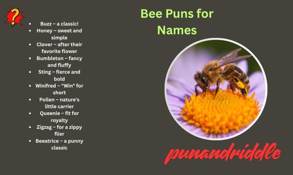 Bee Puns for Names