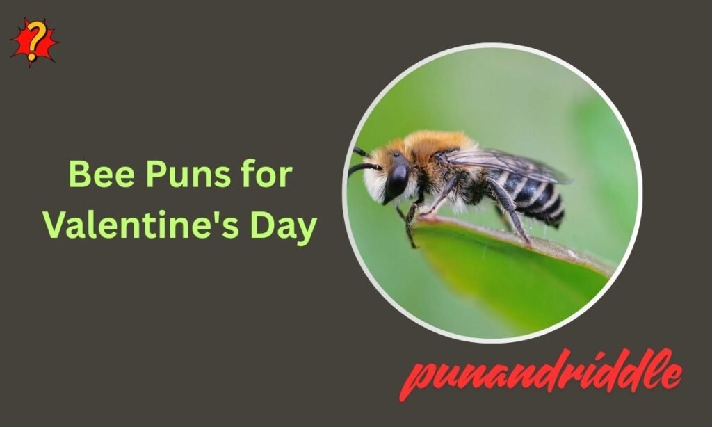 Bee Puns for Valentine's Day