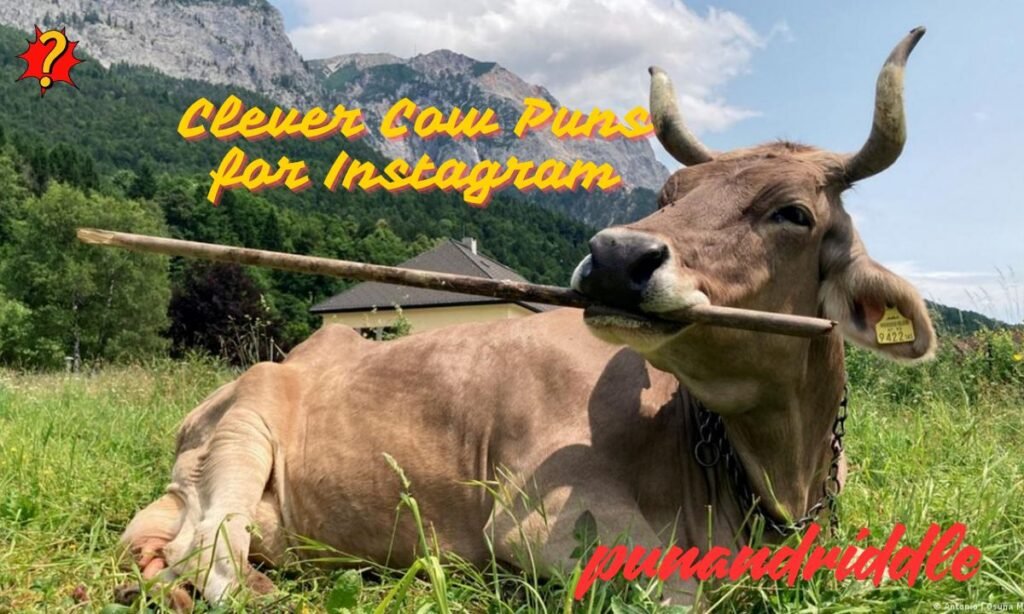 Clever Cow Puns for Instagram