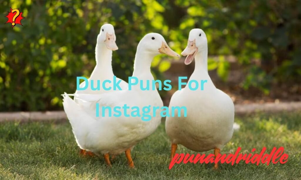 Duck Puns For Instagram