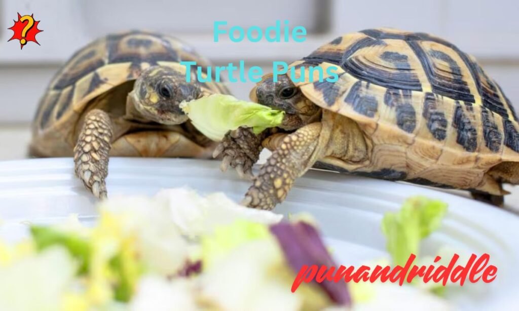Foodie Turtle Puns
