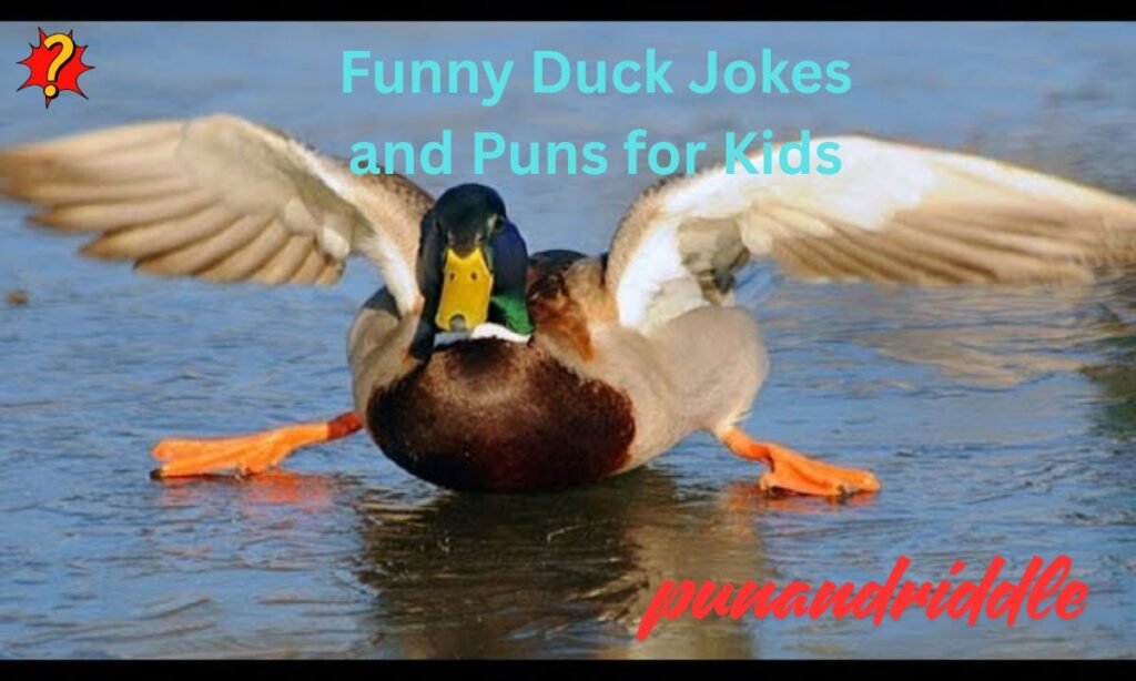 Funny Duck Jokes and Puns for Kids