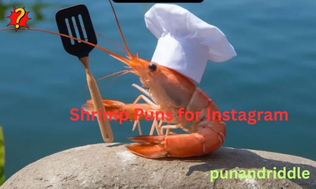 Shrimp Puns for Instagram