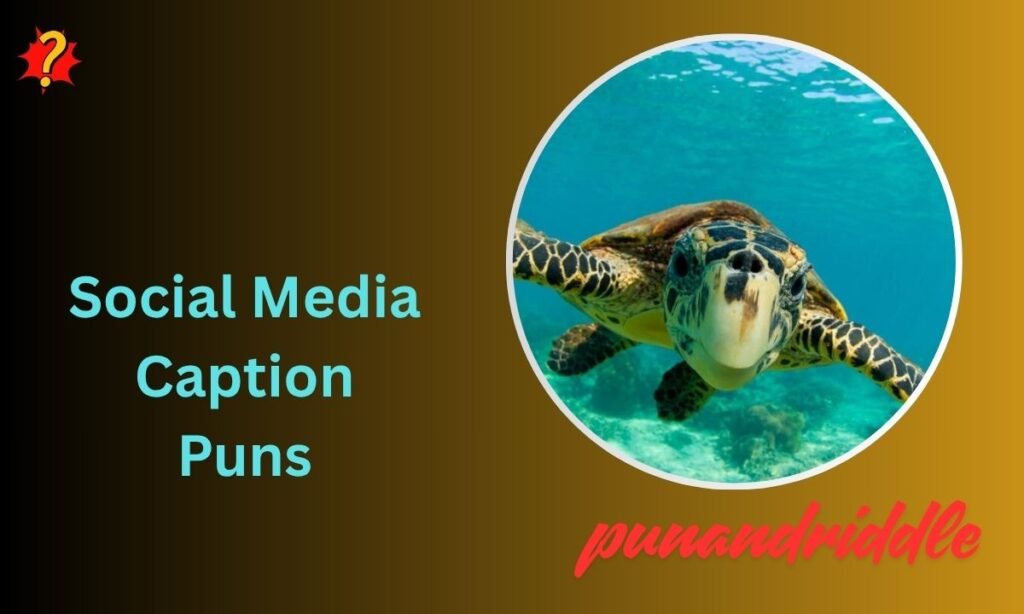 Social Media Caption Puns