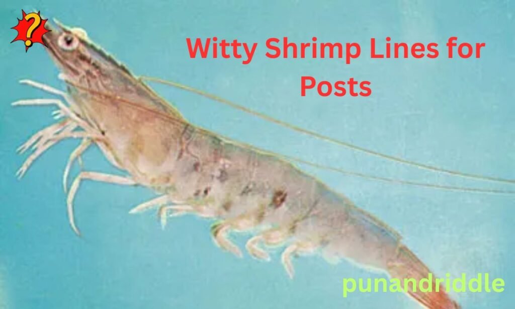 Witty Shrimp Lines for Posts